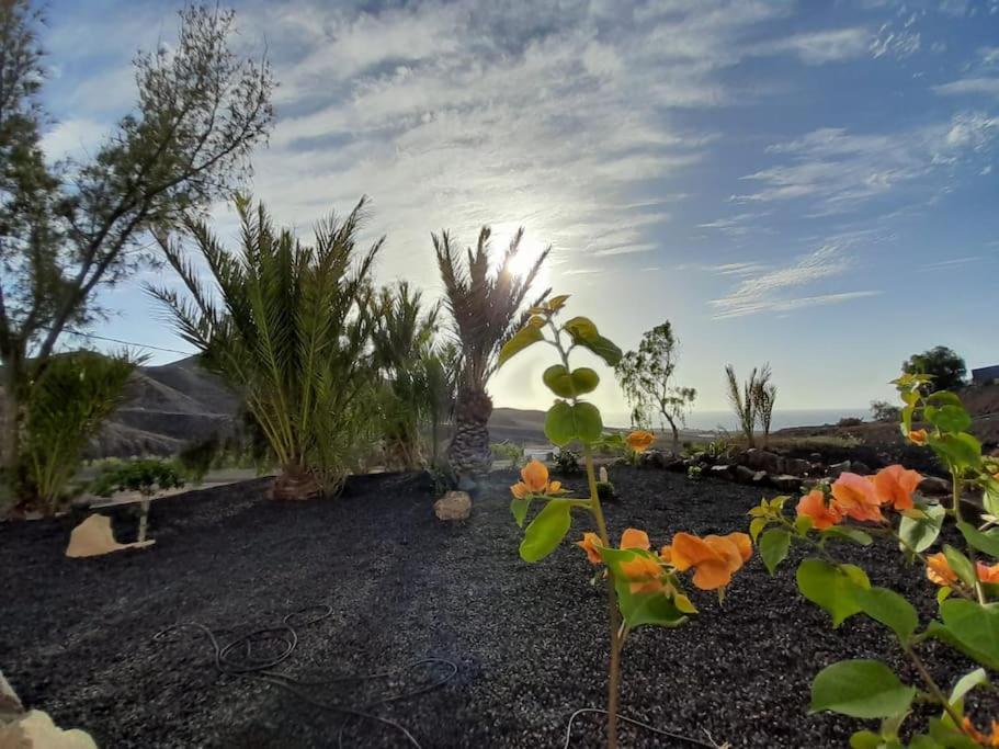 Casagrande Sunset II - Fuerteventura - Costa Calma Villa Pajara  Exterior photo